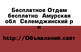 Бесплатное Отдам бесплатно. Амурская обл.,Селемджинский р-н